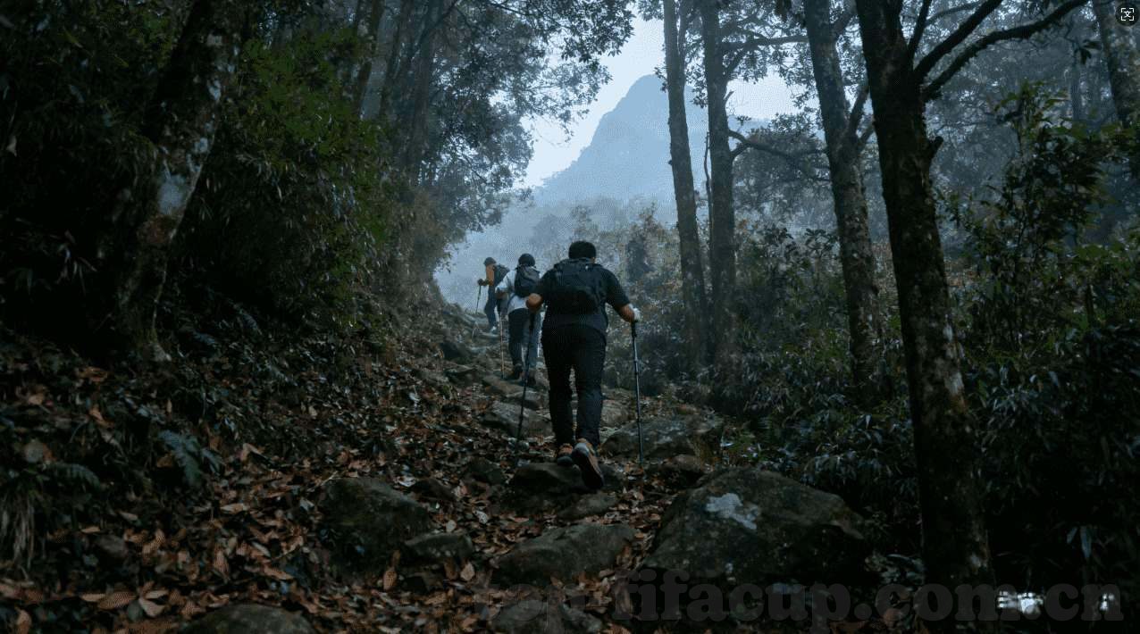 世界杯买球在哪里买的-世界杯买球指南，安全、便捷的选择