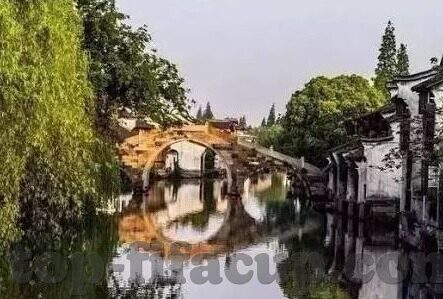在微信群玩炸金花-微信群中炸金花，一场数字时代的娱乐新体验
